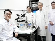 CityU neuroscientists unveil the novel therapeutic potential of Metaxalone for treating nerve injuries