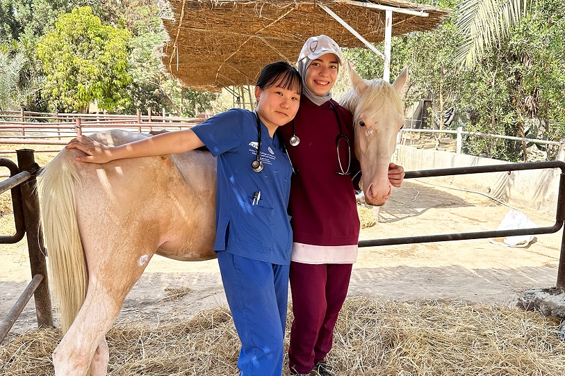 CityUHK nurtures future veterinarians and promotes animal health and welfare