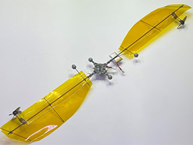 Lightweight Two-wing Micro Drone Inspired by Maple Seeds