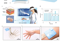 Encoding of Tactile Information in Hand via Skin-integrated Wireless Haptic Interface in Nature Machine Intelligence