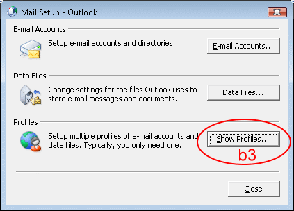 Click "Show Profiles…"