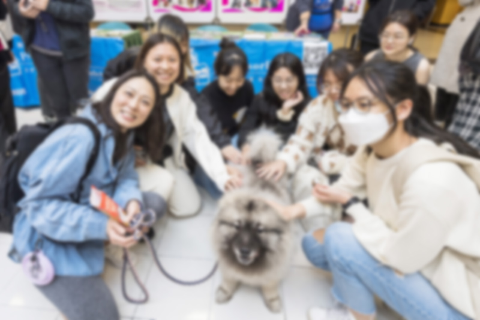 城大舉辦「CityUHK PetPower」宣揚動物與人類連結的力量