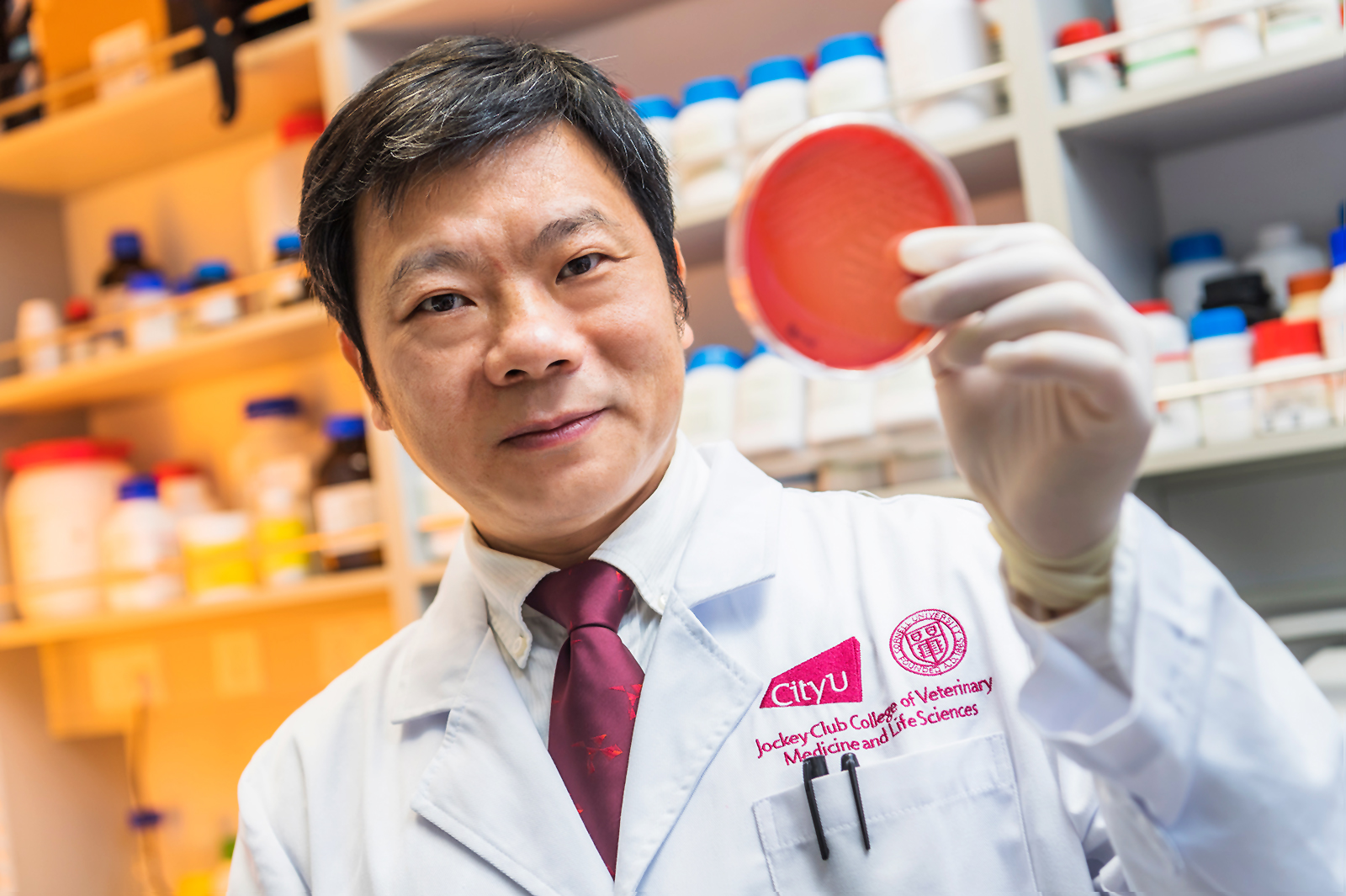 cityu-outstanding-research-award-2022-awarded-to-professor-sheng-chen