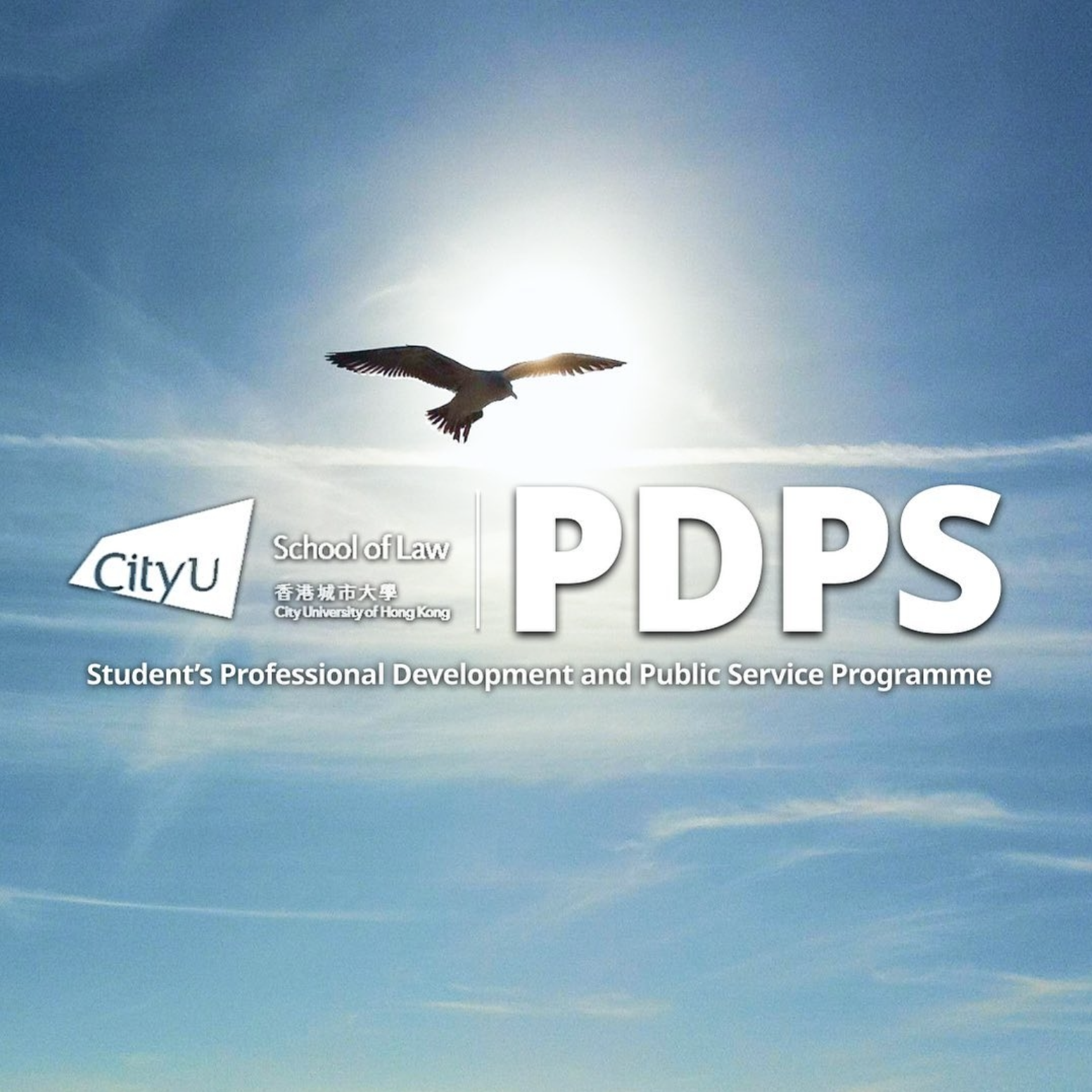 pdps_icon