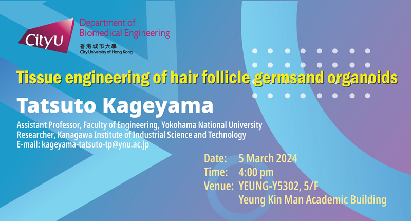 Tissue engineering of hair follicle germs and organoids