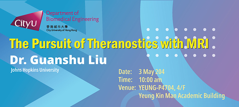 The Pursuit of Theranostics with MRI