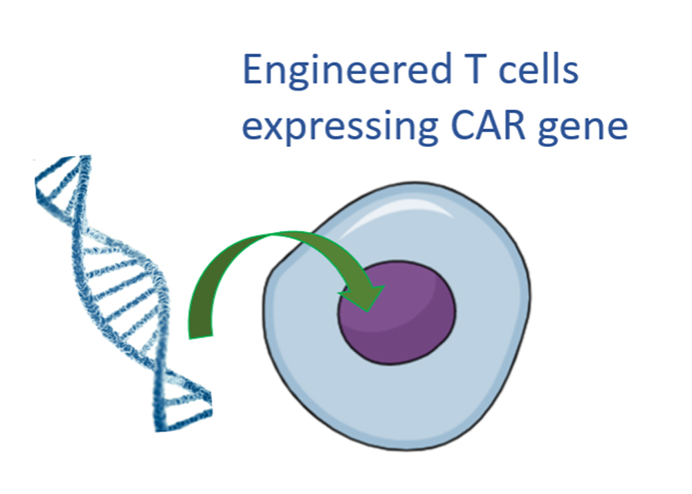 Journey to Precision Medicine: From cancer biomarker identification to novel drug target discovery